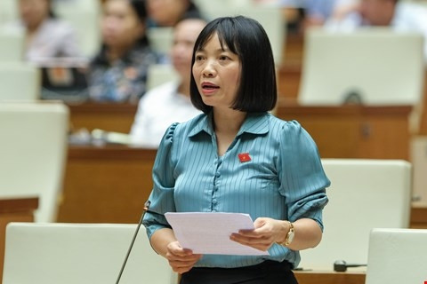 De xuat nlD nghi huong nguyen luong ngay 24 11 can danh gia tac dong da chieu hinh anh 1