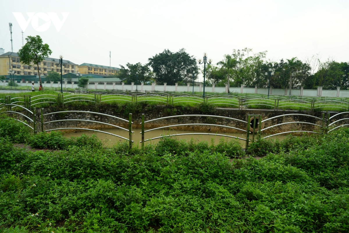 vuon hoa cao ba quat ha noi tu la phoi xanh thanh khu dat hoang co dai hinh anh 10