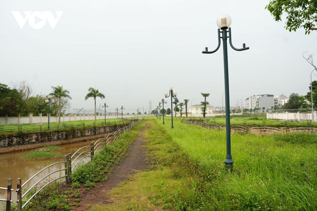 vuon hoa cao ba quat ha noi tu la phoi xanh thanh khu dat hoang co dai hinh anh 7