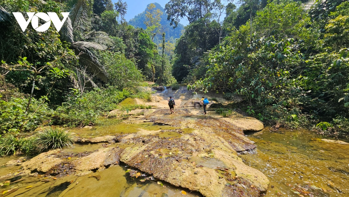 phát hiện thêm 26 hang động mới ở vườn quốc gia phong nha - kẻ bàng hình ảnh 5 phat hien them 26 hang dong moi o vuon quoc gia phong nha - ke bang hinh anh 5