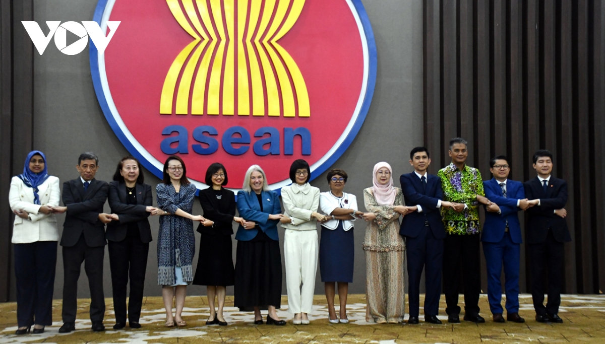 việt nam đồng chủ trì cuộc họp Ủy ban hợp tác chung asean-new zealand lần thứ xiv hình ảnh 1 viet nam dong chu tri cuoc hop Uy ban hop tac chung asean-new zealand lan thu xiv hinh anh 1