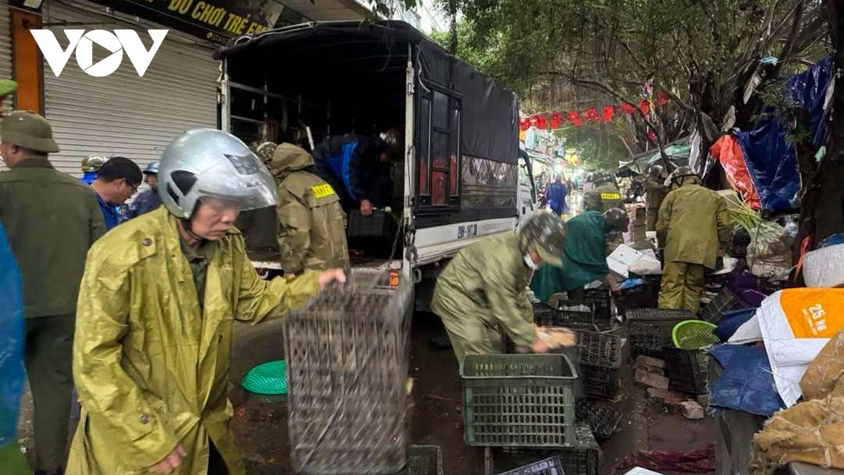ha noi ra quan dep cho coc duoi chan chung cu hh linh Dam hinh anh 4