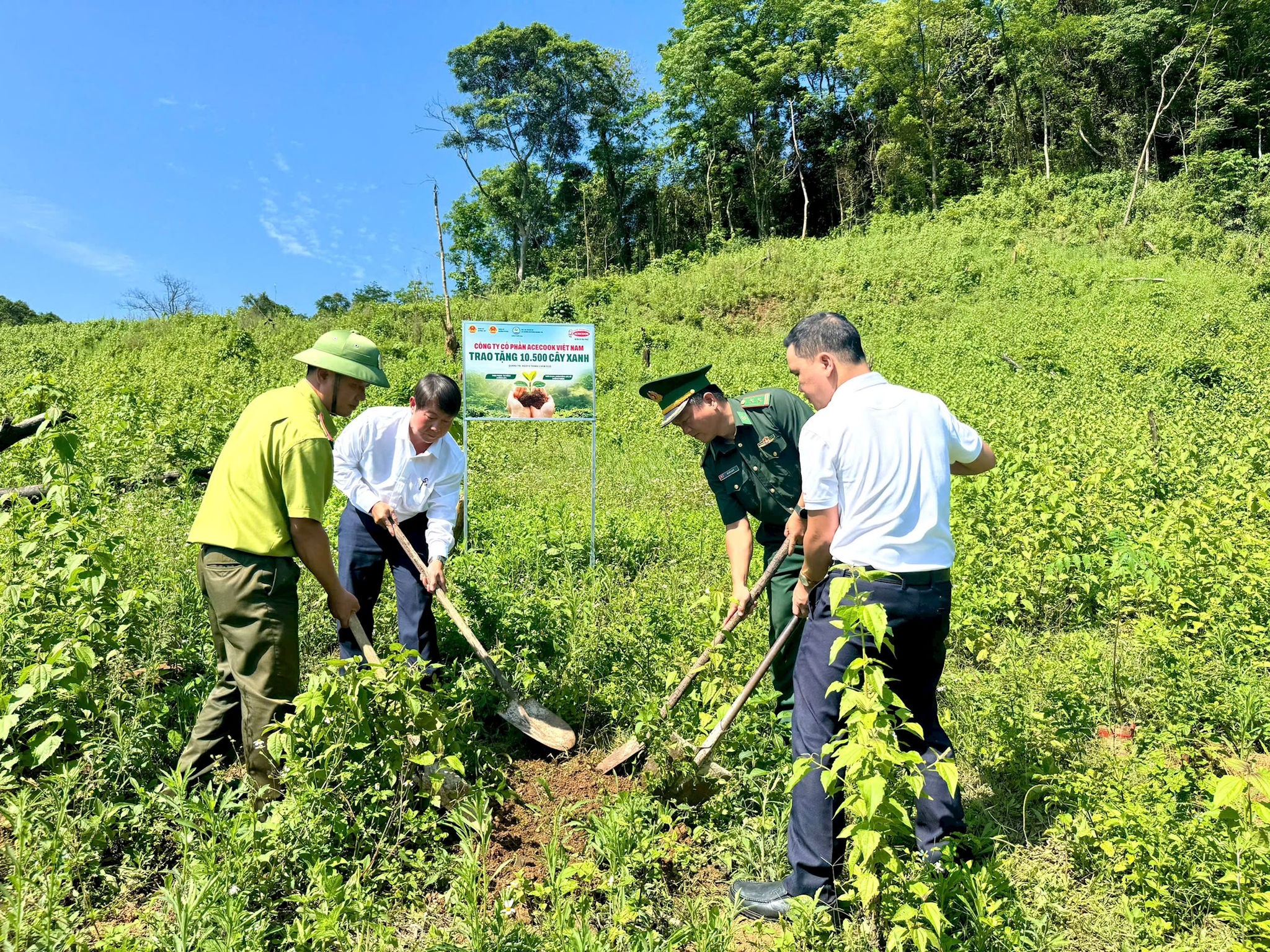 khu-vuc-trong-cay-tai-rung-tu-nhien-thuoc-tinh-thon-trang_ta-puong-huyen-huong-lap-tinh-quang-tri-1.jpg