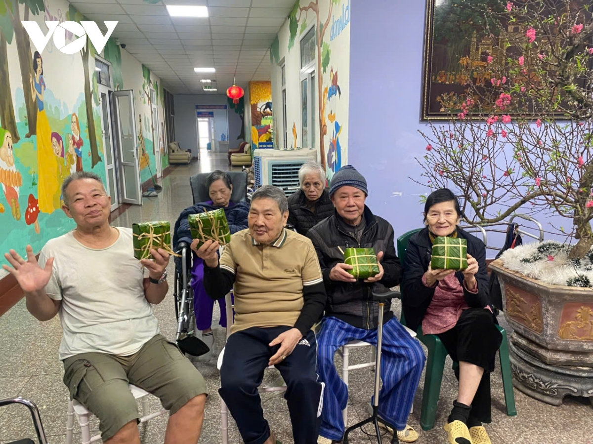 dan so gia hoa nhanh, y te viet nam dung truoc ap luc cham soc nguoi cao tuoi hinh anh 3