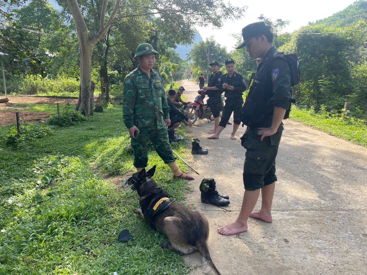Lực lượng chức năng huy động hàng trăm người cùng chó nghiệp vụ, chia thành nhiều mũi để truy tìm chồng cũ của nạn nhân nhằm phục vụ công tác điều tra.