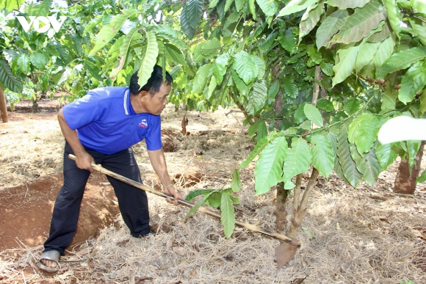 giữ bình yên buôn làng từ thế trận lòng dân hình ảnh 1 giu binh yen buon lang tu the tran long dan hinh anh 1
