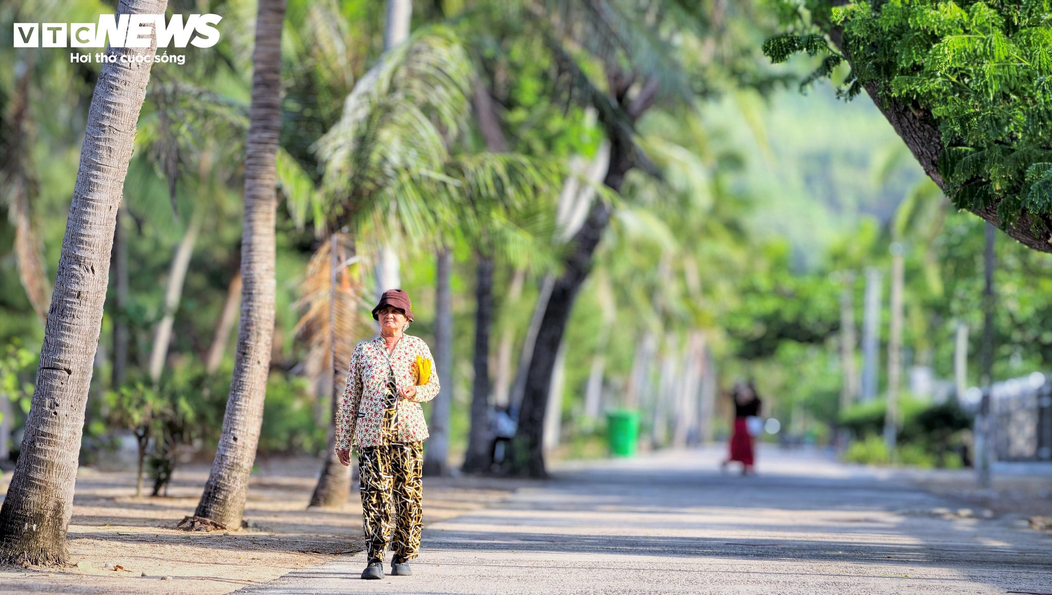 Cảm giác đầu tiên khi bước chân vào làng phong Quy Hòa là sự dịu mát lấp đầy bởi sự bao phủ của những hàng phi lao, những rặng dừa xanh ngắt và những tán cây cổ thụ rợp bóng.
