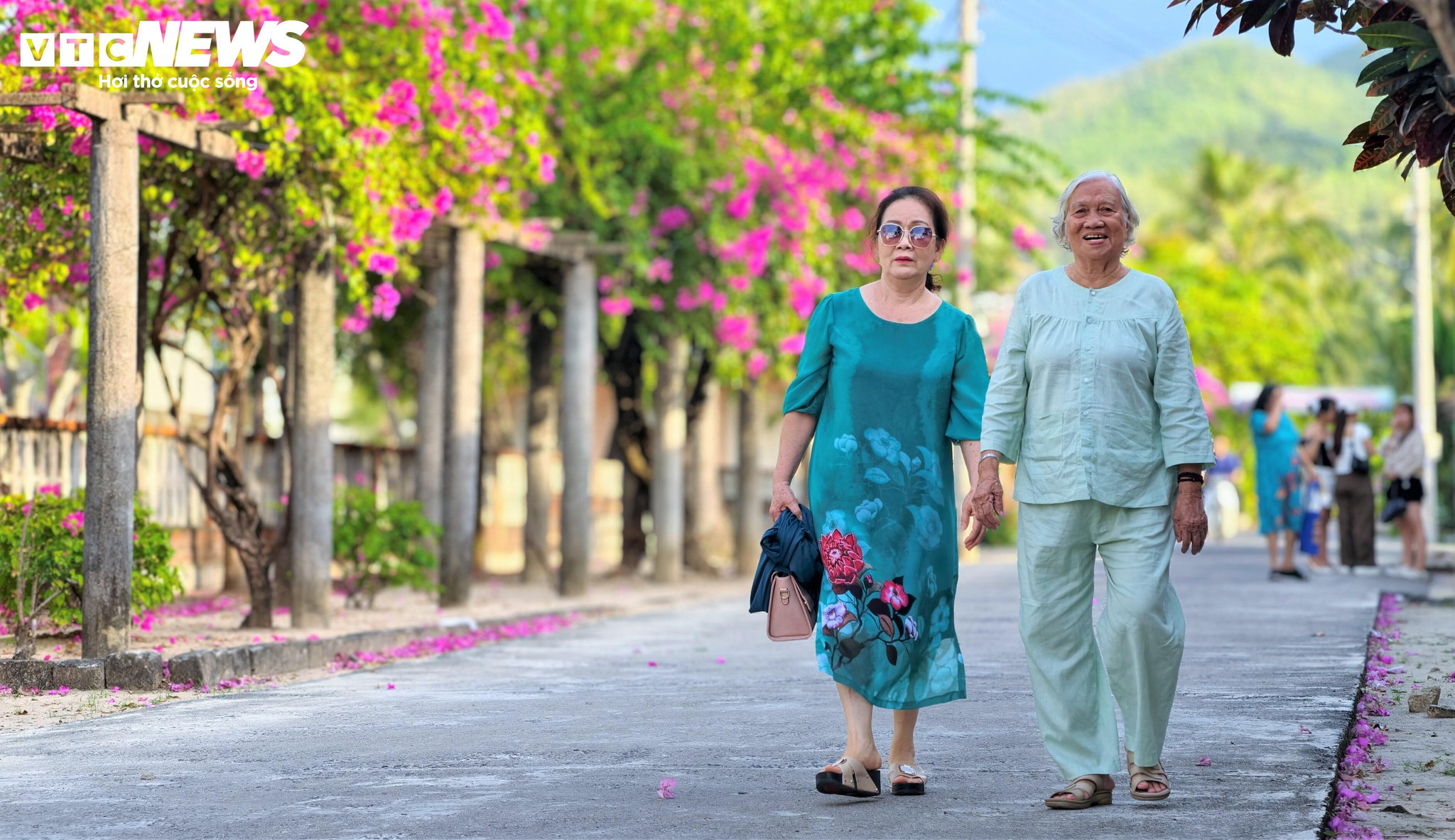 Qua gần một thế kỷ, làng phong Quy Hòa ngày nay vẫn giữ cho mình vẻ đẹp bình yên, thanh bình và lãng mạn.