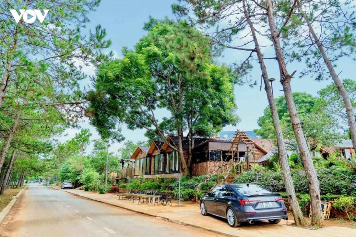 du lịch hè 2026 lý sơn, măng Đen là điểm đến mới nổi thu hút du khách việt hình ảnh 2 du lich he 2026 ly son, mang Den la diem den moi noi thu hut du khach viet hinh anh 2