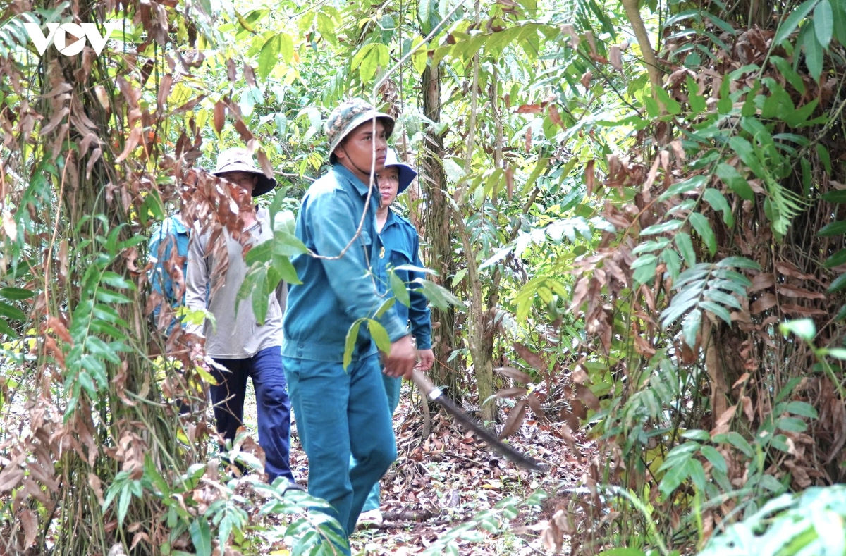 cà mau không lơ là trong công tác phòng cháy chữa cháy rừng hình ảnh 1 ca mau khong lo la trong cong tac phong chay chua chay rung hinh anh 1