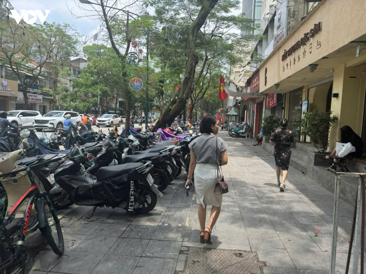 ha noi cho thue via he can co che minh bach, dat loi ich nguoi di bo len hang dau hinh anh 2