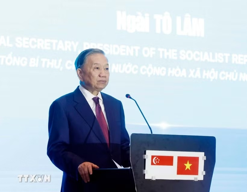 huong toi khong gian hop tac cong nghe viet nam - singapore hinh anh 1