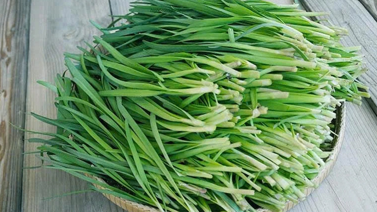 Lá hẹ tươi có thể được sử dụng cho cả trẻ em và người lớn