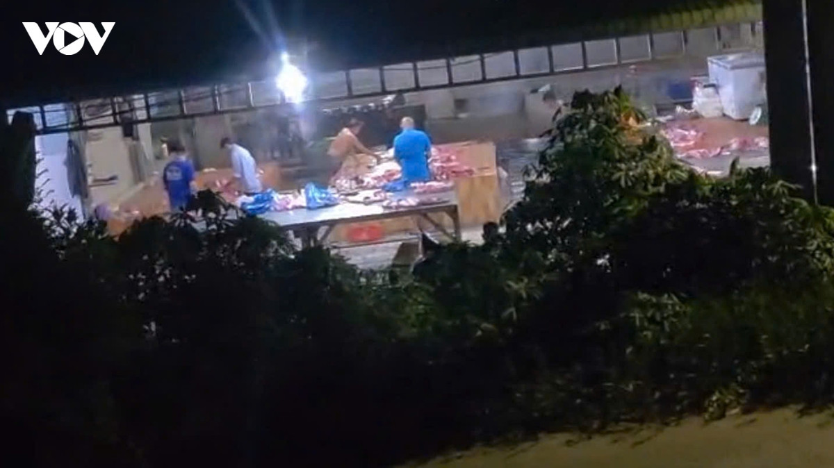 xử lý 4 cơ sở giết mổ động vật trái phép tại Đồng tháp hình ảnh 1 xu ly 4 co so giet mo dong vat trai phep tai Dong thap hinh anh 1