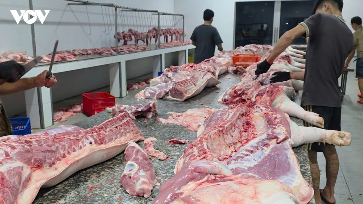 xử lý 4 cơ sở giết mổ động vật trái phép tại Đồng tháp hình ảnh 2 xu ly 4 co so giet mo dong vat trai phep tai Dong thap hinh anh 2