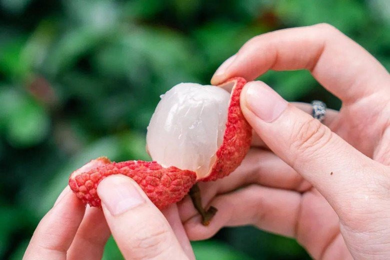 5 khong khi an vai vao mua he ai cung phai biet de tranh mang hoa vao than hinh anh 1