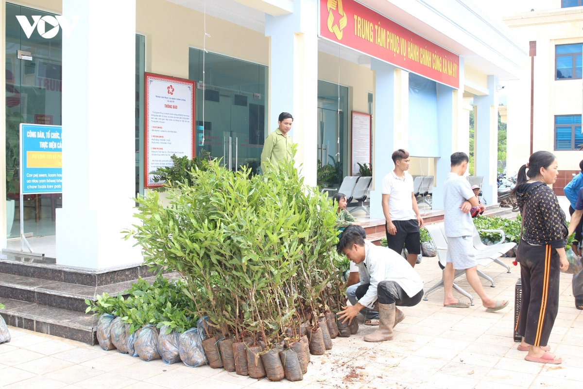 trao tặng cây giống cà phê, mắc ca cho người dân vùng cao Điện biên hình ảnh 2 trao tang cay giong ca phe, mac ca cho nguoi dan vung cao Dien bien hinh anh 2
