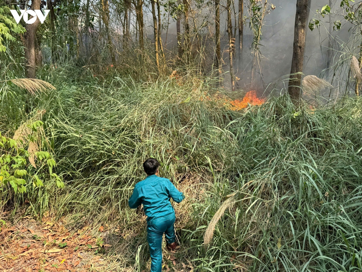 khong che dam chay lon o Da nang, ngan lua lan vao khu dan cu hinh anh 2