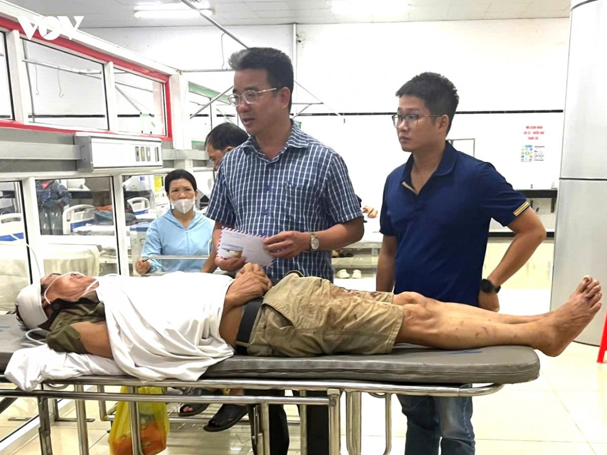 cây cổ thụ trăm tuổi ở bến nước ngã đổ làm một người bị thương hình ảnh 5 cay co thu tram tuoi o ben nuoc nga do lam mot nguoi bi thuong hinh anh 5