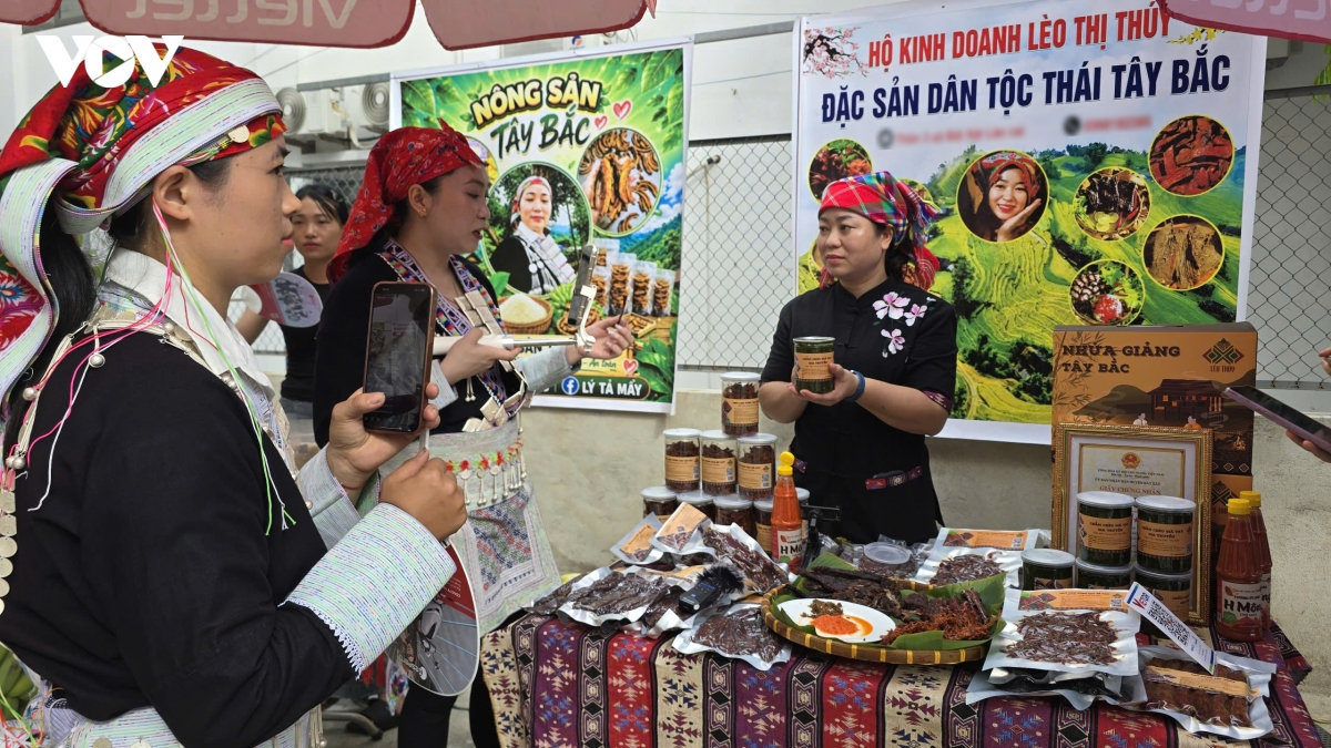 bien moi thon ban vung cao tro thanh mot te bao so hinh anh 2