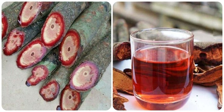 cây thuốc quý dễ tìm, dùng thường xuyên bổ máu, dưỡng gan cực hiệu quả hình ảnh 1 cay thuoc quy de tim, dung thuong xuyen bo mau, duong gan cuc hieu qua hinh anh 1