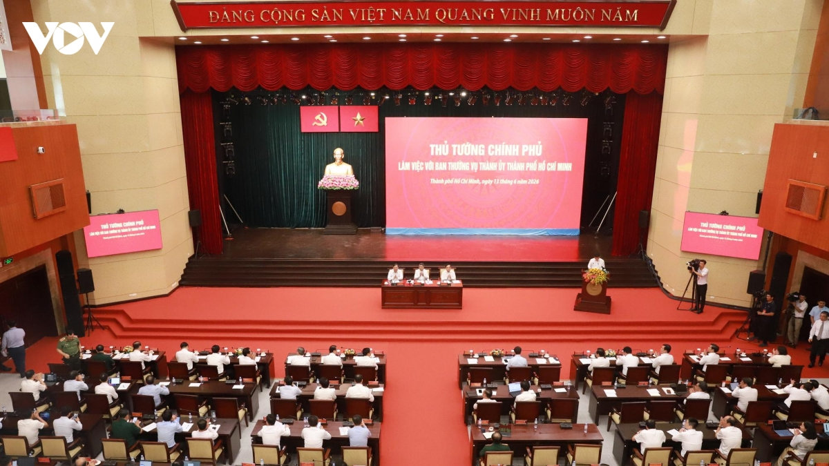 thu tuong lam viec voi ban thuong vu thanh uy thanh pho ho chi minh hinh anh 3