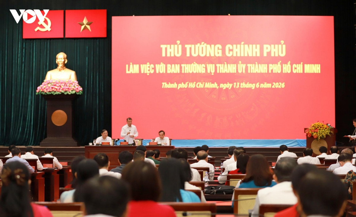 thu tuong lam viec voi ban thuong vu thanh uy thanh pho ho chi minh hinh anh 2