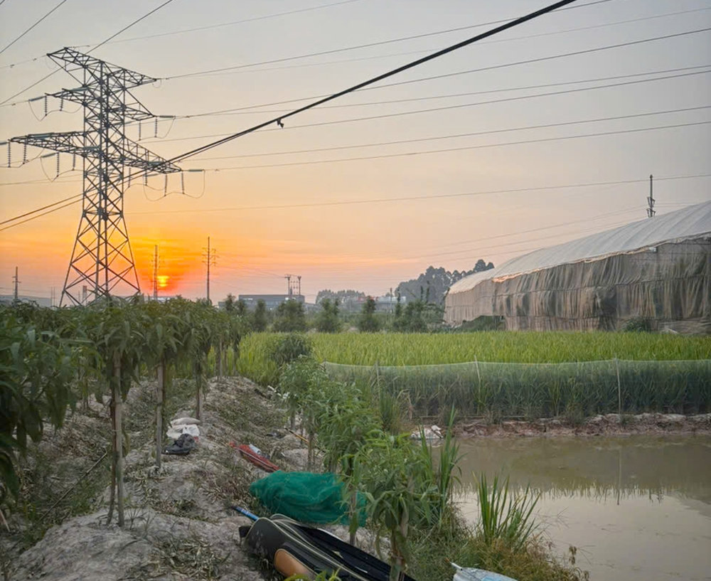 câu cá dưới đường điện cao thế, người đàn ông tử vong do điện giật ở bắc ninh hình ảnh 1 cau ca duoi duong dien cao the, nguoi dan ong tu vong do dien giat o bac ninh hinh anh 1