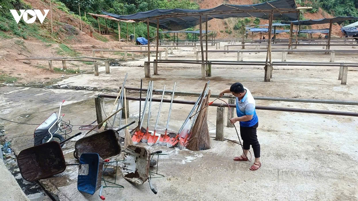 tập trung khống chế dịch lở mồm long móng tại chợ trâu bò lớn nhất thái nguyên hình ảnh 3 tap trung khong che dich lo mom long mong tai cho trau bo lon nhat thai nguyen hinh anh 3
