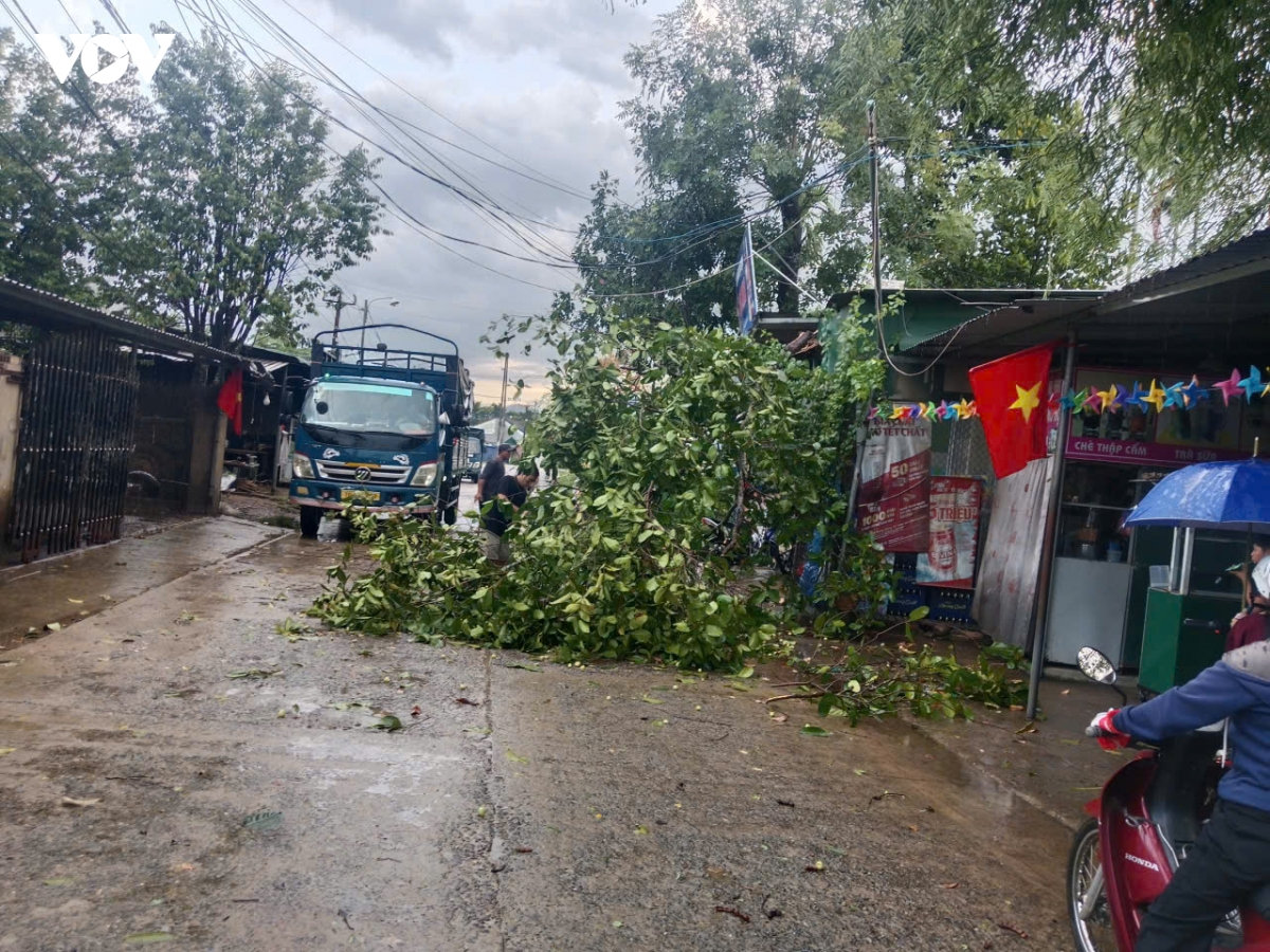 loc xoay lam hu hong hon 70 nha dan o xa son linh quang ngai hinh anh 3