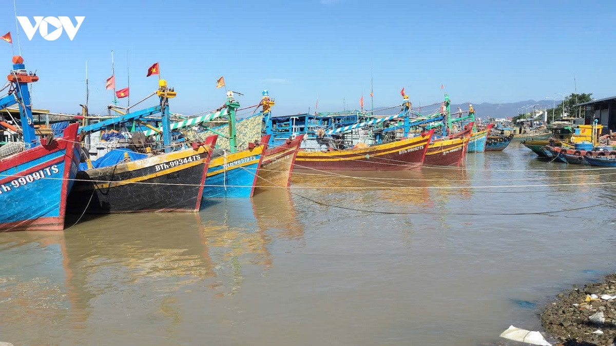 tàu cá bị chìm trên biển lâm Đồng, 2 lao động thoát thân an toàn hình ảnh 1 tau ca bi chim tren bien lam Dong, 2 lao dong thoat than an toan hinh anh 1