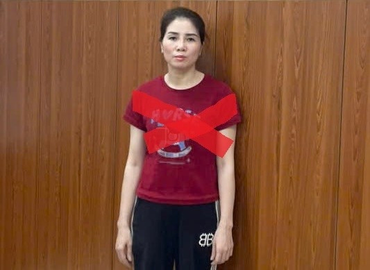 tam giu doi tuong lua chuyen dat nong nghiep thanh dat o, chiem doat hang ty dong hinh anh 1