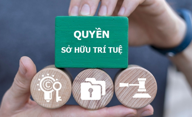 Dua so huu tri tue thanh mot phan quan trong trong chien luoc phat trien quoc gia hinh anh 1