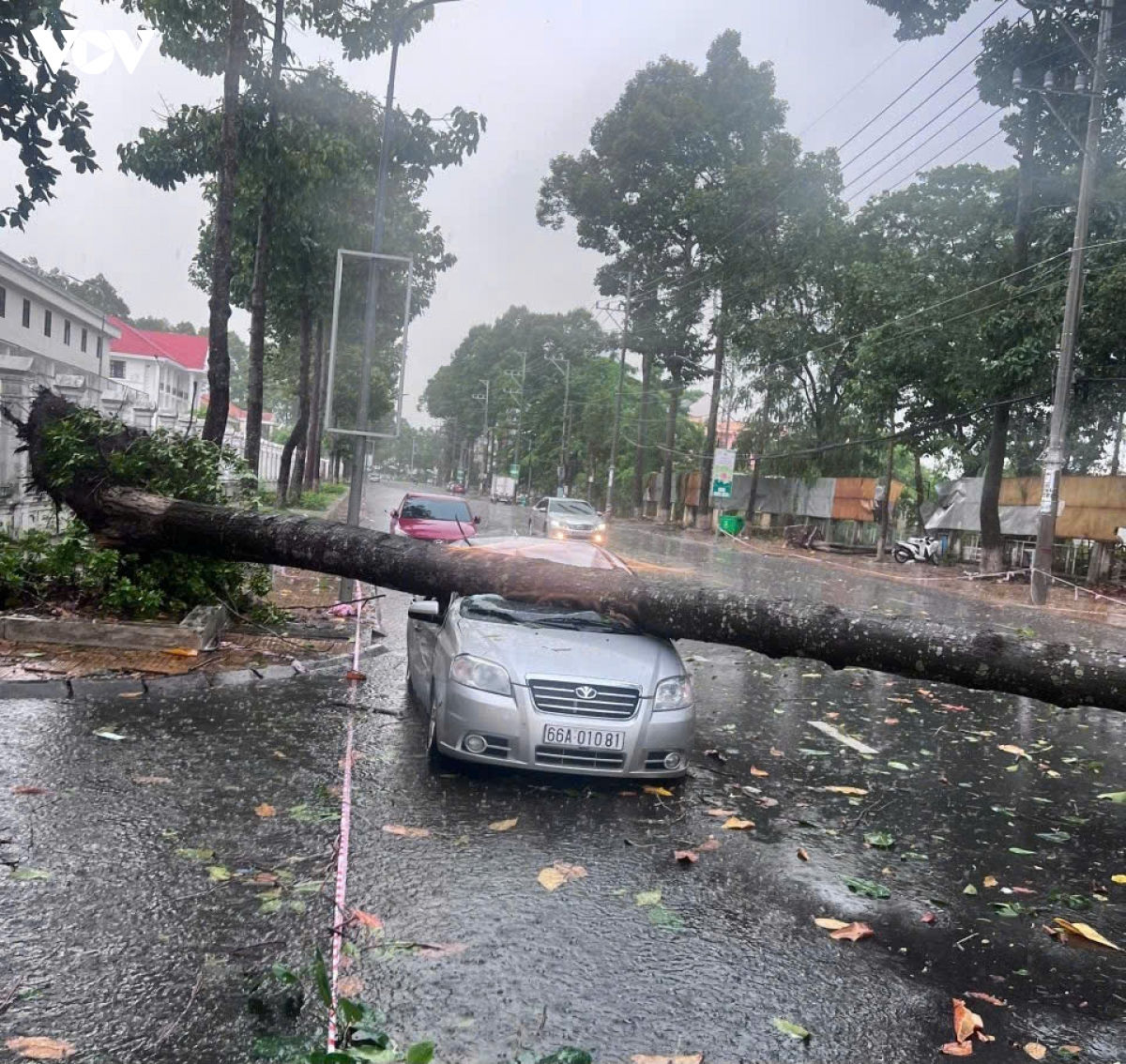giông lốc liên tiếp ở Đồng tháp khiến nhiều nhà bị sập, cây đổ, thiệt hại tiền tỷ hình ảnh 2 giong loc lien tiep o Dong thap khien nhieu nha bi sap, cay do, thiet hai tien ty hinh anh 2