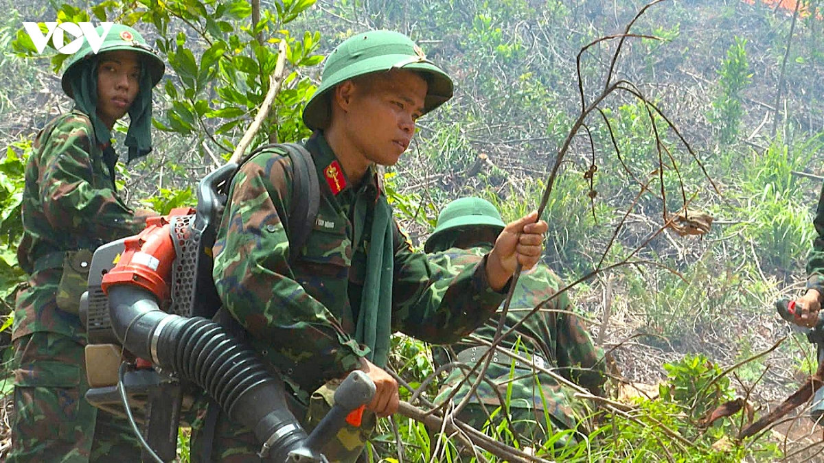 gan 1.000 nguoi tham gia chua chay rung o nghe an hinh anh 9