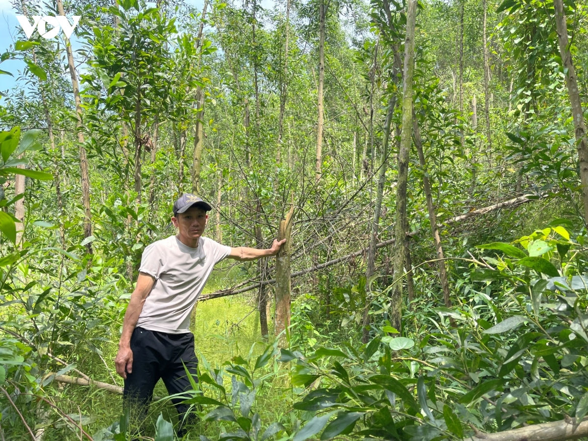 lam ro dau hieu truc loi tien ho tro thiet hai do thien tai tai quang tri hinh anh 1