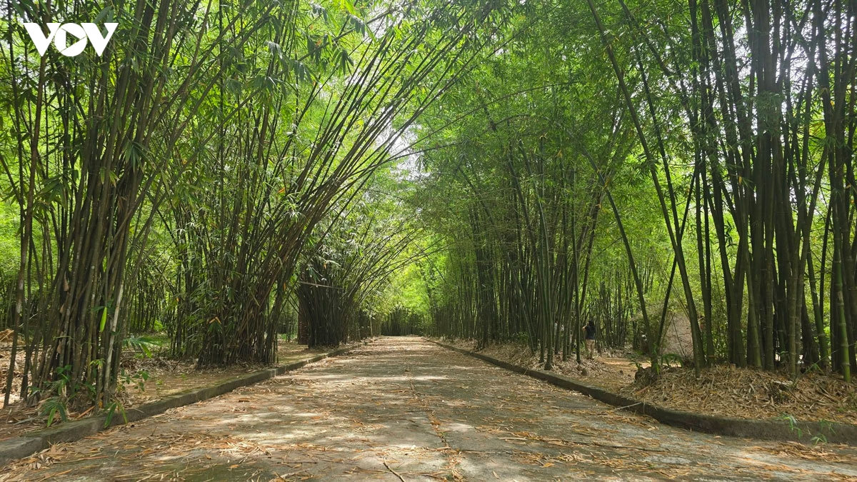 tran tro o ngan hang tre lon nhat viet nam tai tp.hcm hinh anh 2