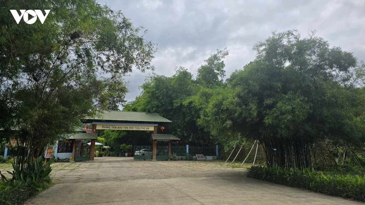tran tro o ngan hang tre lon nhat viet nam tai tp.hcm hinh anh 1