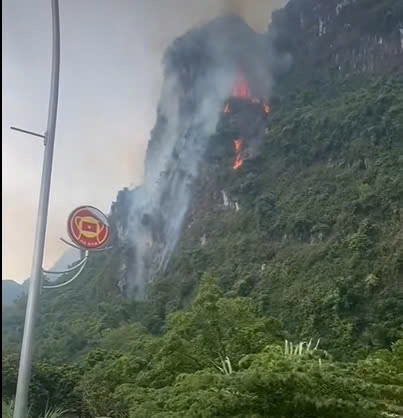 set danh nui cao san, gan 3.500 m rung phong ho o ninh binh bi thieu rui hinh anh 1