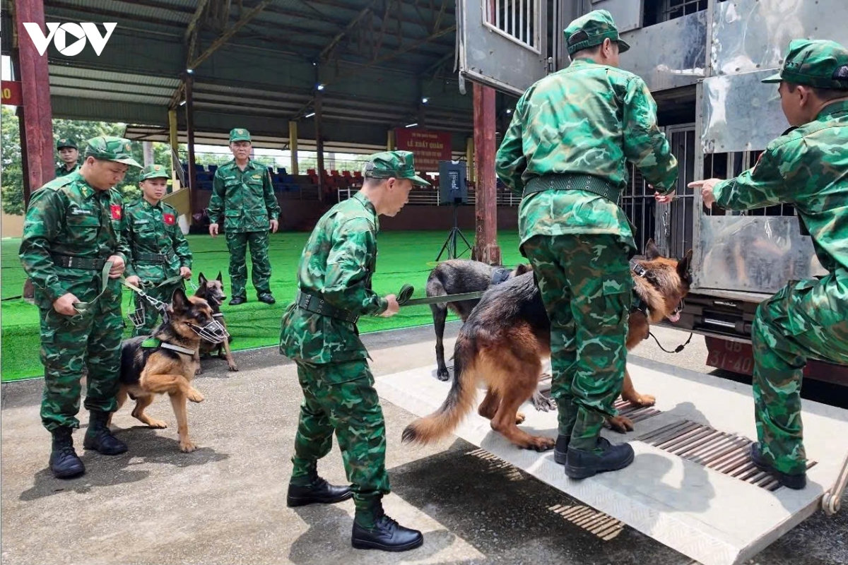 viet nam dua 8 cho nghiep vu sang tim kiem cuu nan sau dong dat tai venezuela hinh anh 2