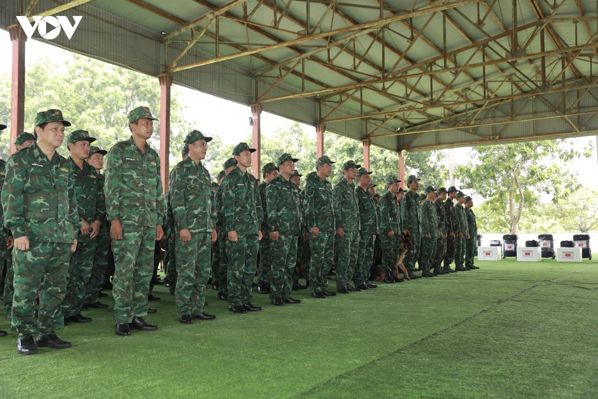 viet nam dua 8 cho nghiep vu sang tim kiem cuu nan sau dong dat tai venezuela hinh anh 4