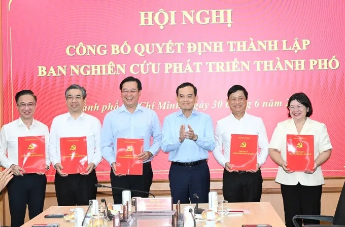 Ong tran luu quang lam truong ban nghien cuu phat trien tp.hcm hinh anh 1
