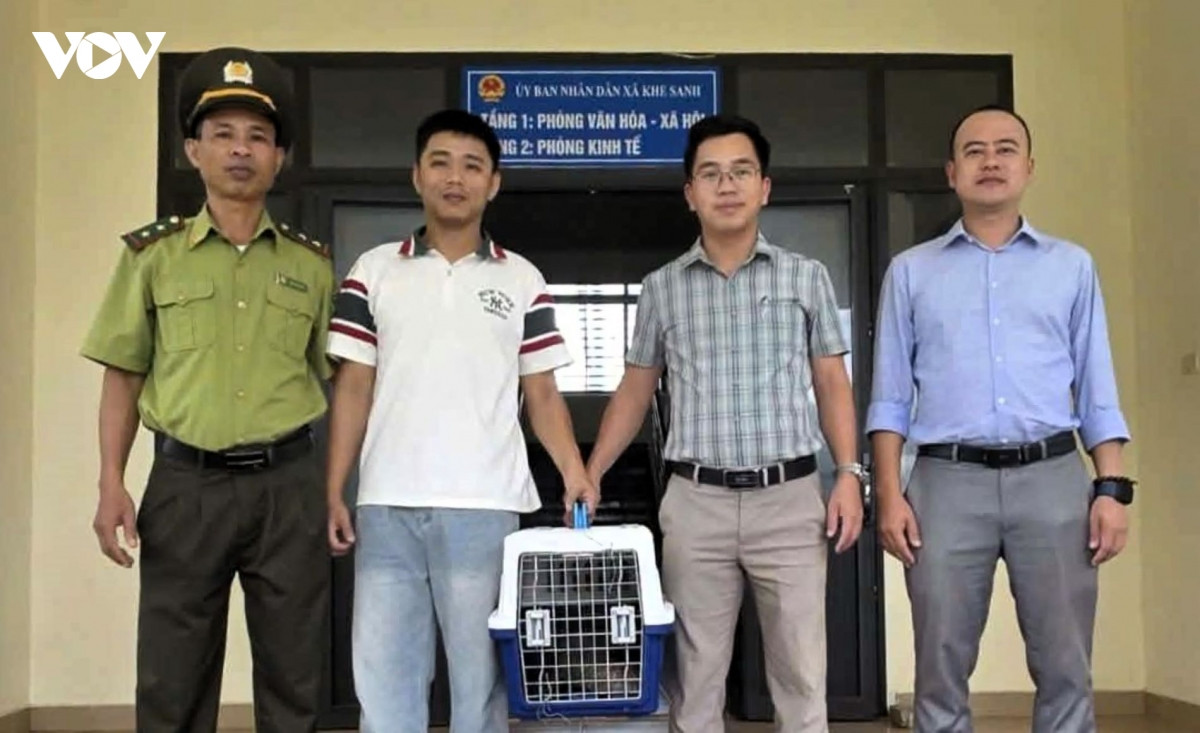 cứu hộ 1 chú tê tê java quý hiếm bị kiệt sức ở khe sanh hình ảnh 1 cuu ho 1 chu te te java quy hiem bi kiet suc o khe sanh hinh anh 1