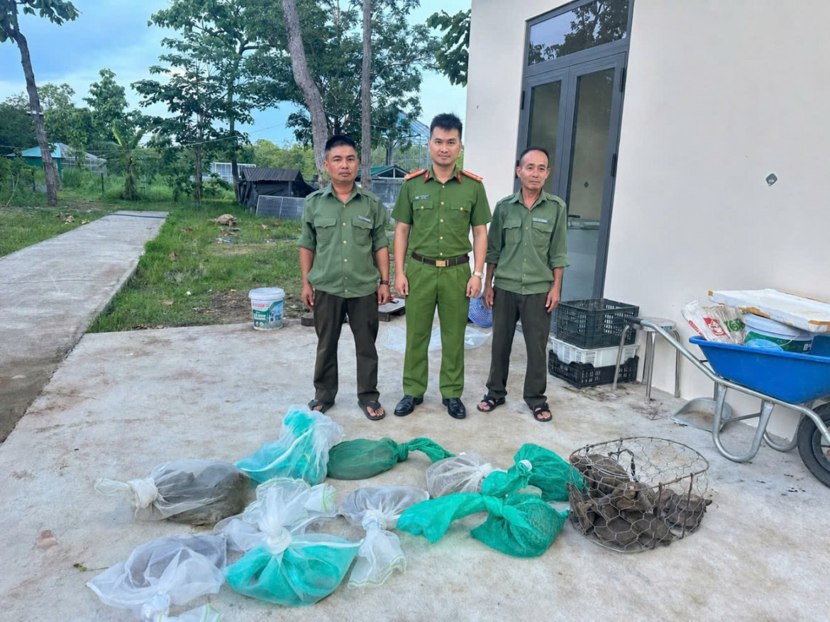 khởi tố 3 bị can, thu giữ 207 cá thể động vật hoang dã hình ảnh 3 khoi to 3 bi can, thu giu 207 ca the dong vat hoang da hinh anh 3