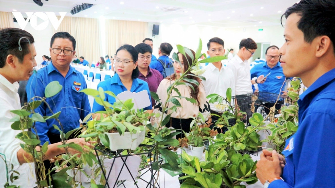 Den 2030, it nhat 25 doanh nghiep khoi nghiep moi do thanh nien lam chu hinh anh 1