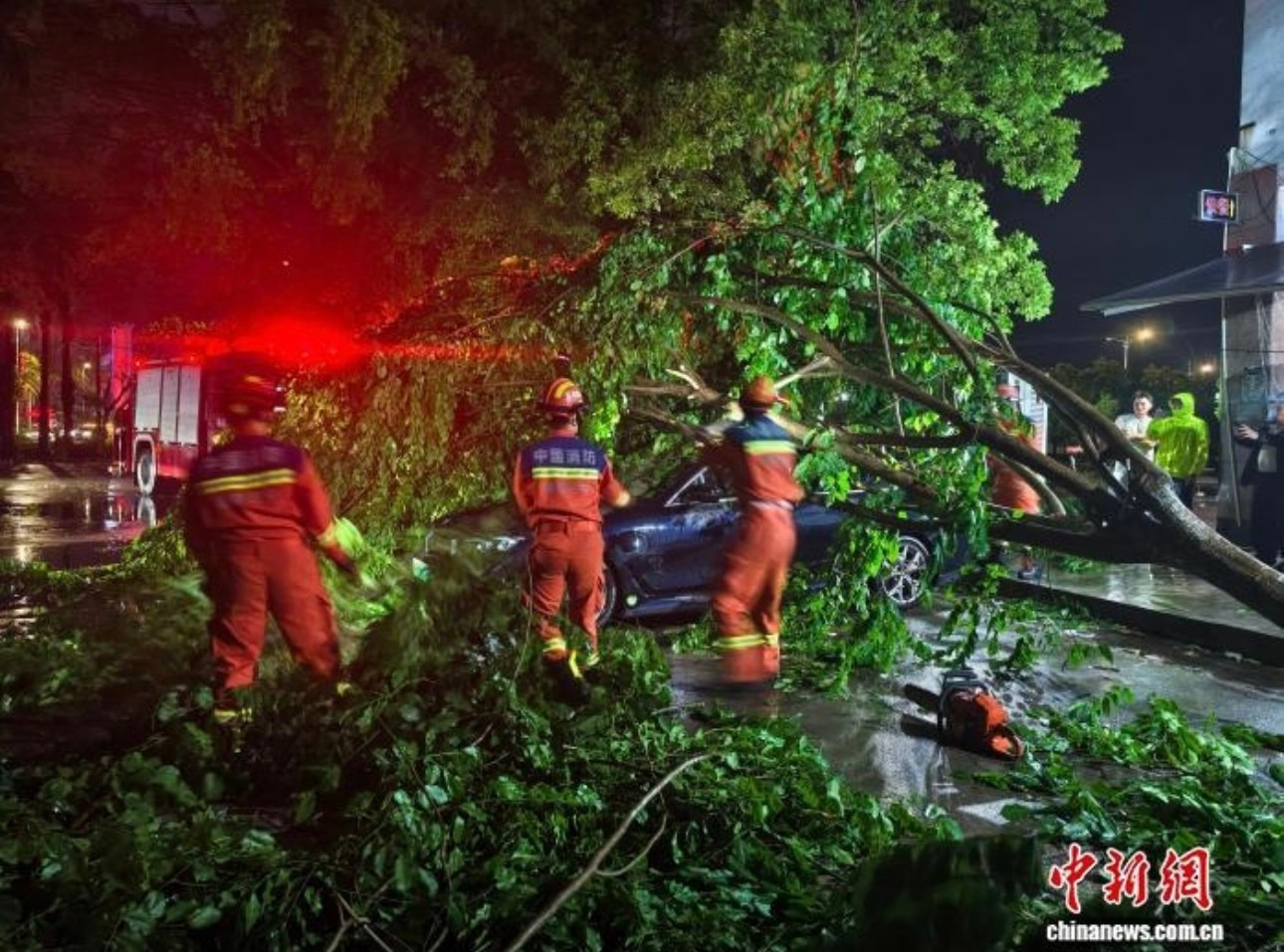 Cây đổ ở Vạn Ninh, Hải Nam tối ngày 3/7. (Ảnh: China News)