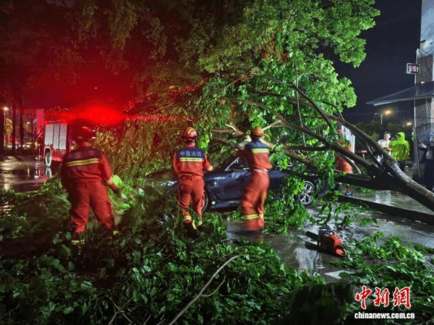 Cây đổ ở Vạn Ninh, Hải Nam tối ngày 3/7. (Ảnh: China News)