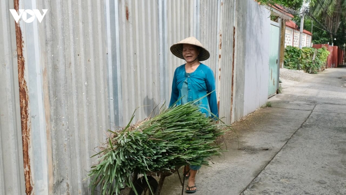 người dân ở trung tâm tp.hcm phấn khởi vì thoát dự án treo hình ảnh 4 nguoi dan o trung tam tp.hcm phan khoi vi thoat du an treo hinh anh 4