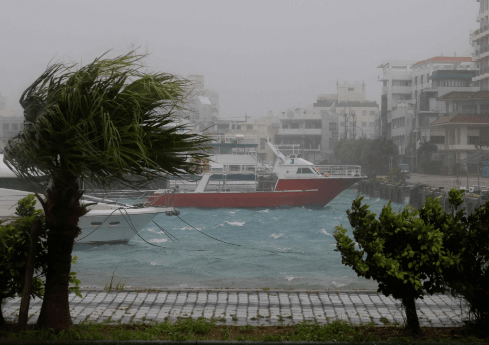 Gió mạnh do bão Bavi ghi nhận tại một bến cảng ở Ishigaki, Nhật Bản sáng 11/7. (Ảnh: Reuters)