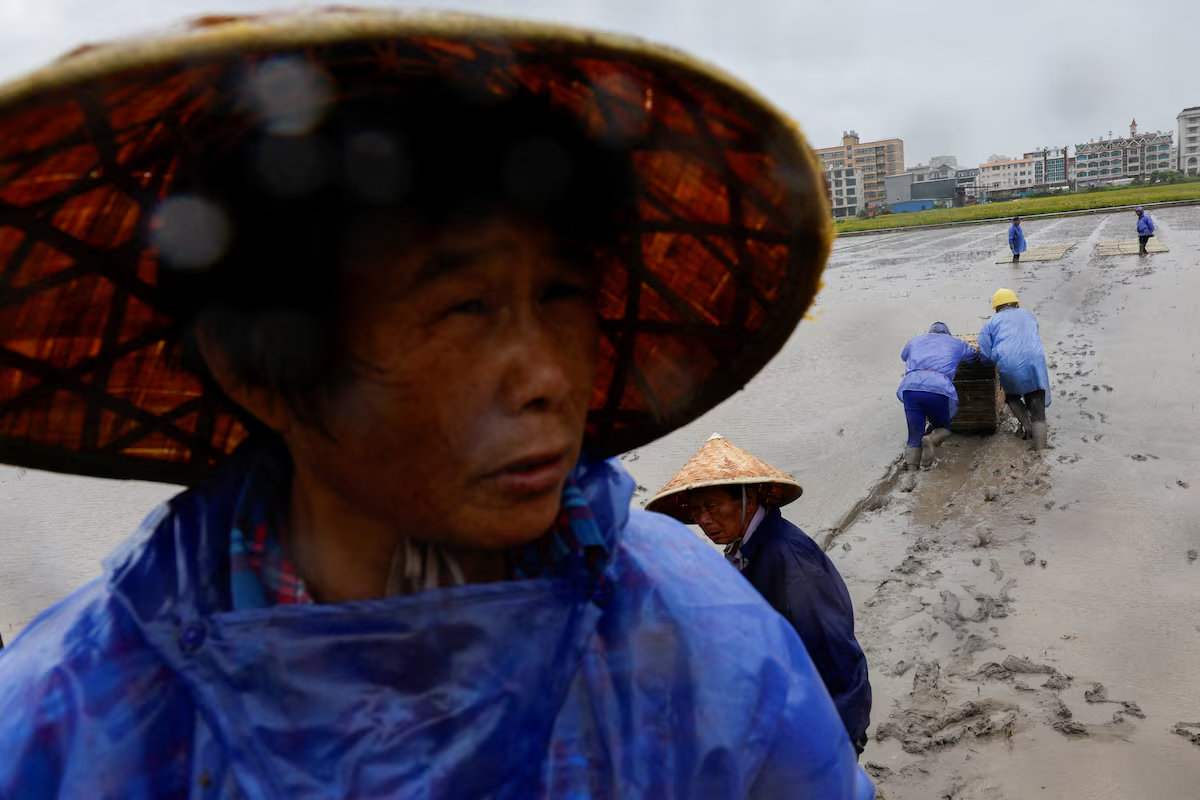 Trung Quốc đã sơ tán hơn 1,8 triệu người khi bão Bavi đổ bộ. (Ảnh: Reuters)